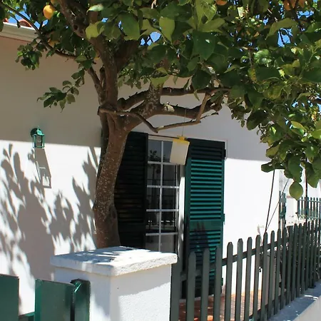 Casa Do Limoeiro *